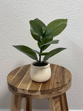 Threshold Artificial Green Plant in Mini Distressed Pot Faux Greenery EUC 10”